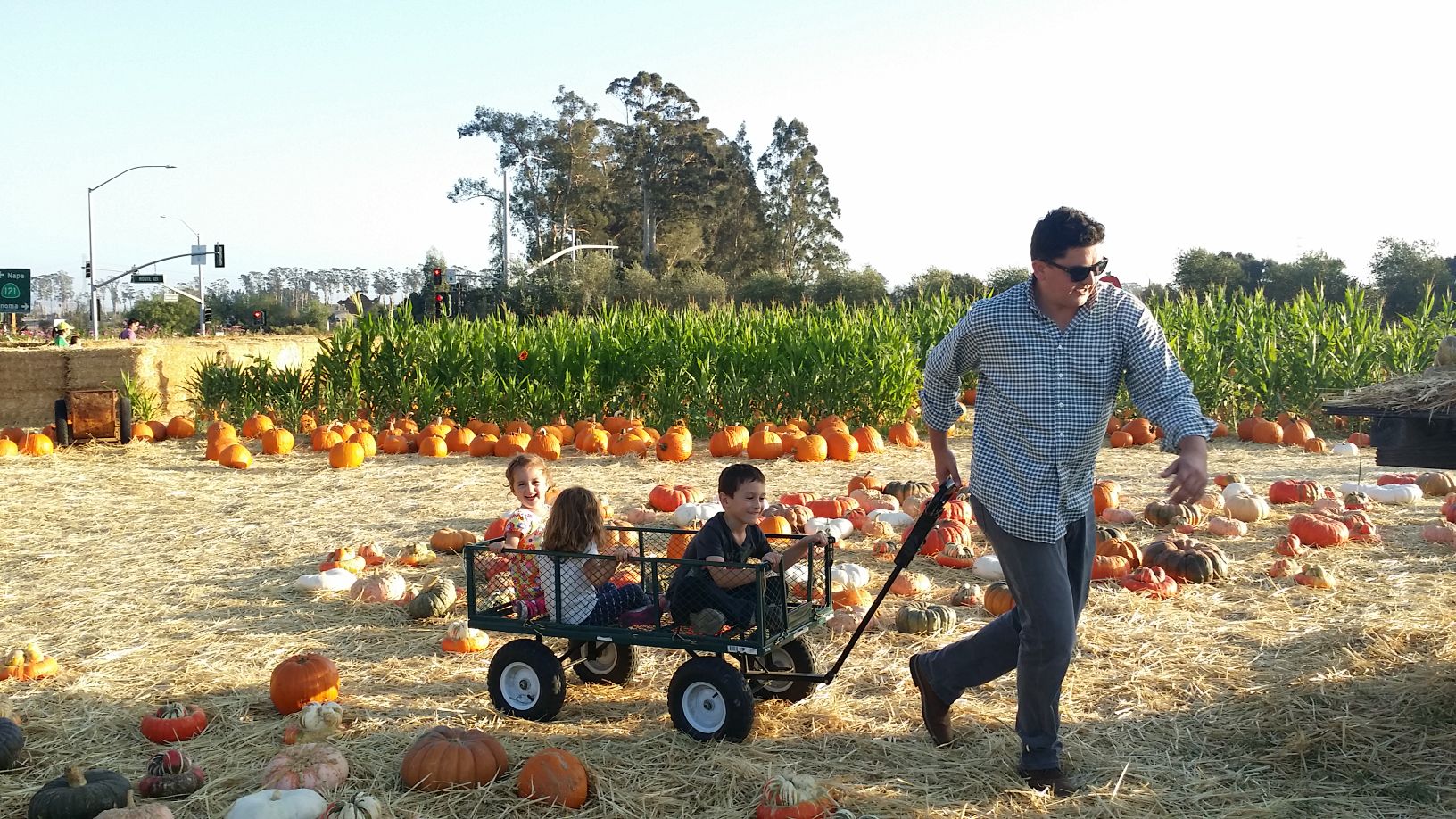 Picking Pumpkins 2015